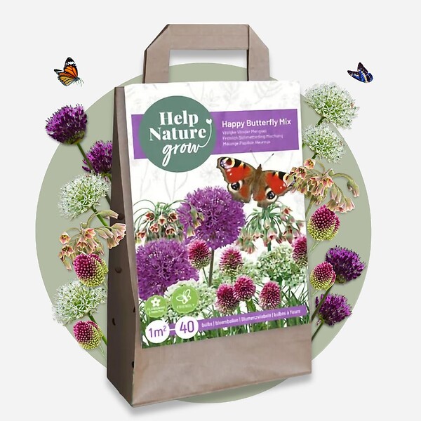 PLANT IN A BOX - Mélange de bulbes qui attirent les papil - Set de 40 - large