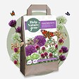 PLANT IN A BOX - Mélange de bulbes qui attirent les papil - Set de 40 - vignette