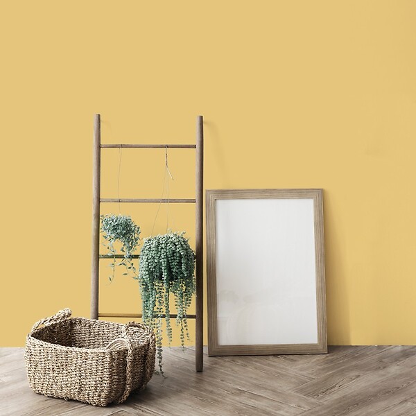 99DECO - Peinture Mur Velours - Jaune Pastel - Interieur - 1l - large