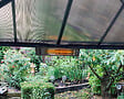 PALRAM - Canopia Chauffage extérieur Aluminium et Fibre de Carbone 1800 W - vignette
