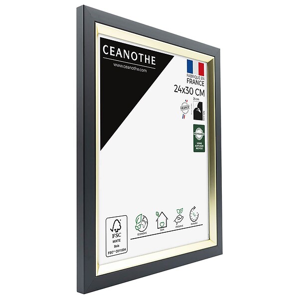 CEANOTHE - Cadre photo Actual noir doré 24x30 cm - large