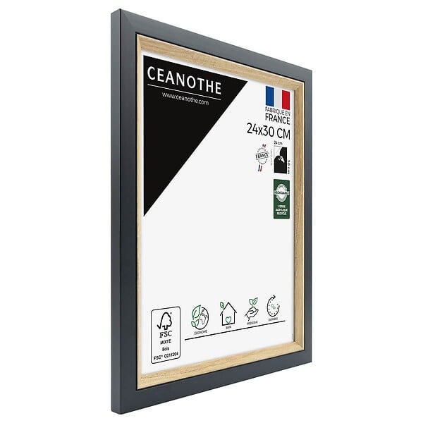 CEANOTHE - Cadre photo Actual bois noir 24x30 cm - large