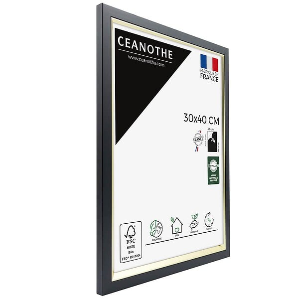 CEANOTHE - Cadre photo Actual noir doré 30x40 cm - large