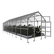 KLASIKA GREENHOUSES - Serre de jardin KLASIKA BERNARD 2,35 x 8 m (18,8 m²), 6 mm avec revêtement en polycarbonate - vignette