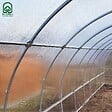 KLASIKA GREENHOUSES - Serre de jardin KLASIKA TUBE 3 x 4 m (12 m²), 4 mm avec revêtement en polycarbonate - vignette