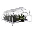 KLASIKA GREENHOUSES - Serre de jardin KLASIKA EASY 3 x 4 m (12 m²), 4 mm avec revêtement en polycarbonate - vignette