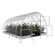 KLASIKA GREENHOUSES - Serre de jardin KLASIKA EASY 3 x 4 m (12 m²), 6 mm avec revêtement en polycarbonate - vignette