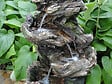 UBBINK - Fontaine de jardin Vernier mini cascade décorative - vignette