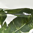 OVIALA - Lot de 2 coussins carrés polyester jungle 45x45x8 cm - Quito - vignette