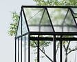 CANOPIA - Canopia Serre de jardin Aria 9,4 m² Noire - vignette
