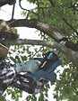 MAKITA - Tronçonneuse à batterie à poignée supérieure 18 V MAKITA DUC122Z (Produit seul) - vignette