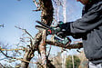 METABO - Scie à élaguer  METABO 600856840 18V 15cm en Metabox 145l (vendu sans batterie) - vignette