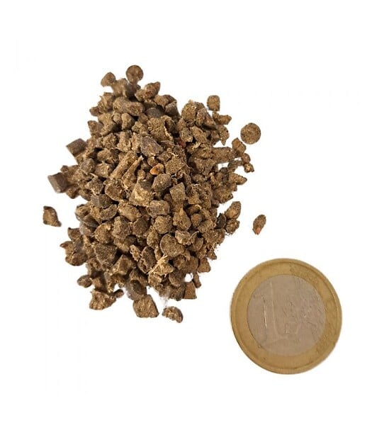 FLORIVERT - Engrais progressif Flori Or 7-0-12   2MgO   ABM 25 kg renforce le gazon et les végétaux - Florivert NEG00977 - large