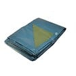 UNIVERS DU PRO - Bâche plastique 6 x 10 m Bleue et Verte Etanche polyéthylène 150g/m² - vignette