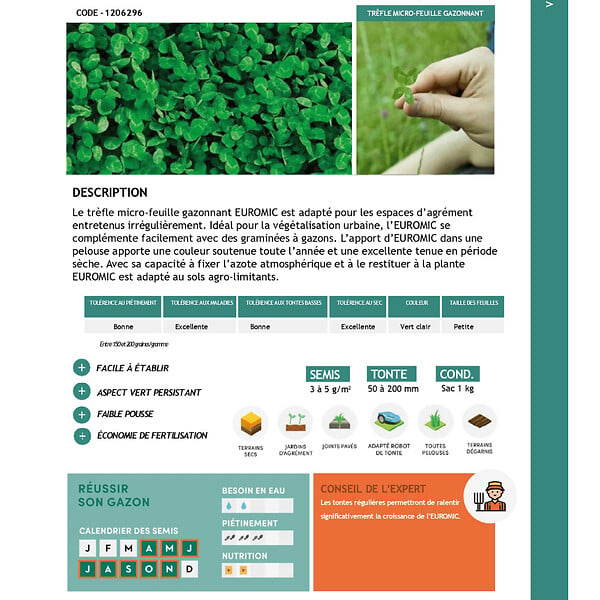 FLORIVERT - Trèfle micro-feuille gazonnant, résistant sécheresse, 1 kg, 200-350 m² - Florivert 1206296 - large