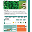 FLORIVERT - Trèfle micro-feuille gazonnant, résistant sécheresse, 1 kg, 200-350 m² - Florivert 1206296 - vignette