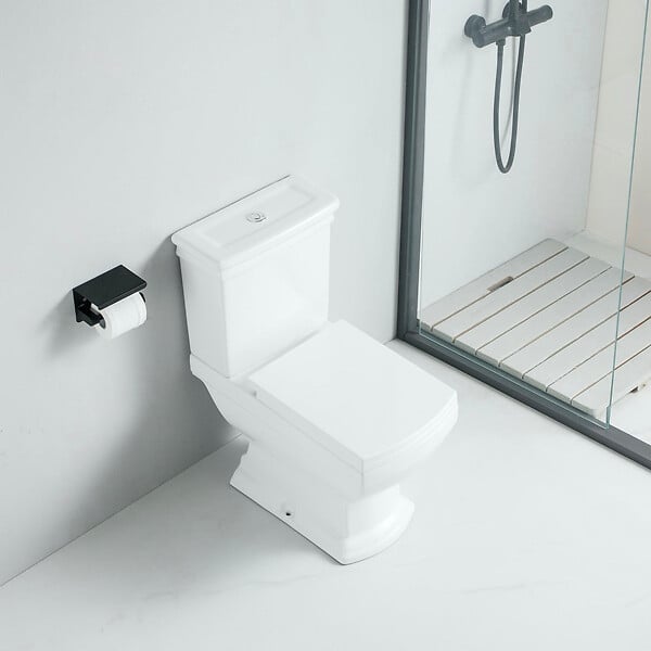 ROGIER & MOTHES - Toilette WC à poser rétro MADRY en céramique - large