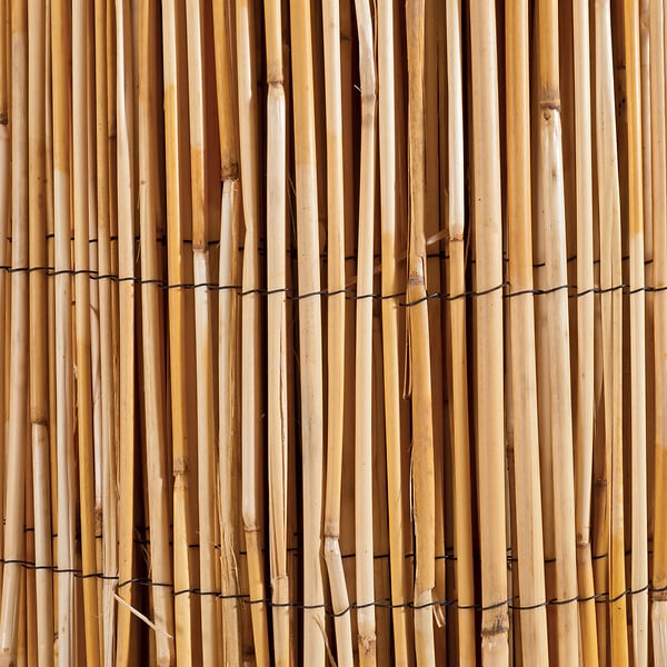 WERKAPRO - Canisse en roseau naturel  1,5 x 5 m - large