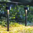 LUMISKY - 2 Balises solaires à piquer FORTY H30cm - vignette