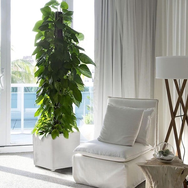 ARTPLAST - Pot de Fleur Carré Gris 50L 40x40cm - Jardinière Extérieure Balcon Terrasse Jardin ARTPLAST - large