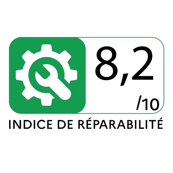 VITO - Tondeuse à gazon 20V - 2 Batteries lithium 2.0Ah Chargeur double Bac 30L Gazon 300m2 VITO - large