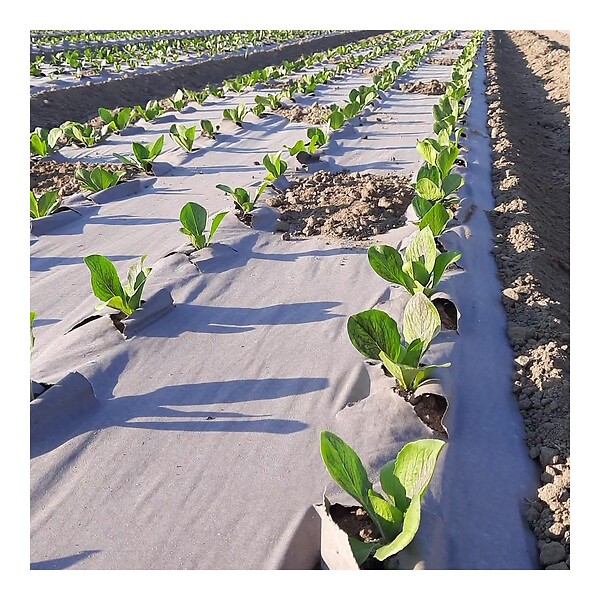 KZ GARDEN - Toile de paillage Papier Kraft 1.20 x 300m Autodégradable Paillage pour Jardin Anti mauvaises herbes 100% Cellulose - large