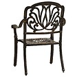 VIDAXL - vidaXL Chaises de jardin lot de 2 Aluminium coulé Bronze - vignette