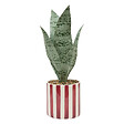 ATMOSPHERA - Plante artificielle Sansevieria Chéri céramique Jaune H38cm - vignette