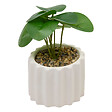 ATMOSPHERA - Plante succulente artificielle Flow pot céramique - H16cm - vignette
