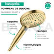 HANSGROHE - Pommeau de douche HANSGROHE Raindance Select S EcoSmart 120 3 jets aspect doré poli + flexible de douche HANSGROHE Designflex 160 cm doré poli - vignette