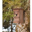WINDHAGER - Nichoir à oiseaux en bois massif verni - vignette