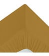 ATMOSPHERA - Drap housse 2 Personnes en percale de Coton Marron Mordoré 160 x 200 cm - vignette