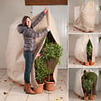 ID MARKET - Housse d'hivernage pour plante et arbuste 200 x 240 cm - vignette