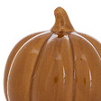 ATMOSPHERA - Citrouille crmq automne d10,5 - vignette