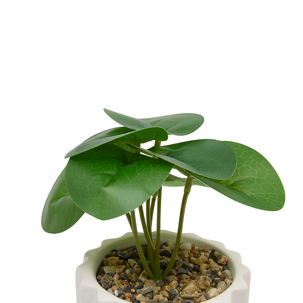 ATMOSPHERA - Plante succulente artificielle Flow pot céramique - H16cm - large