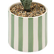 ATMOSPHERA - Plante artificielle Sansevieria Chéri céramique Jaune H38cm - vignette