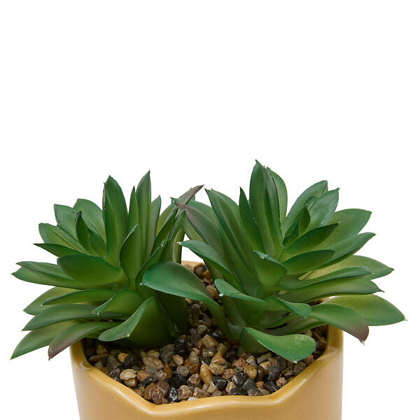 ATMOSPHERA - Plante artificielle en pot céramique Cheri - Jaune - 10cm - large