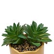 ATMOSPHERA - Plante artificielle en pot céramique Cheri - Jaune - 10cm - vignette
