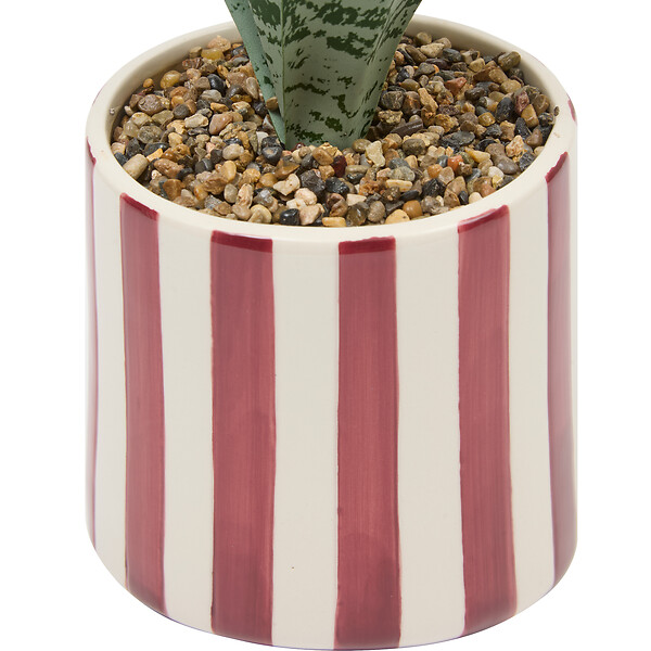 ATMOSPHERA - Plante artificielle Sansevieria Chéri céramique Jaune H38cm - large