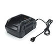 GARLAND - Chargeur Rapide Batterie 40V GARLAND KEEPER FAST-V19 Noir - vignette