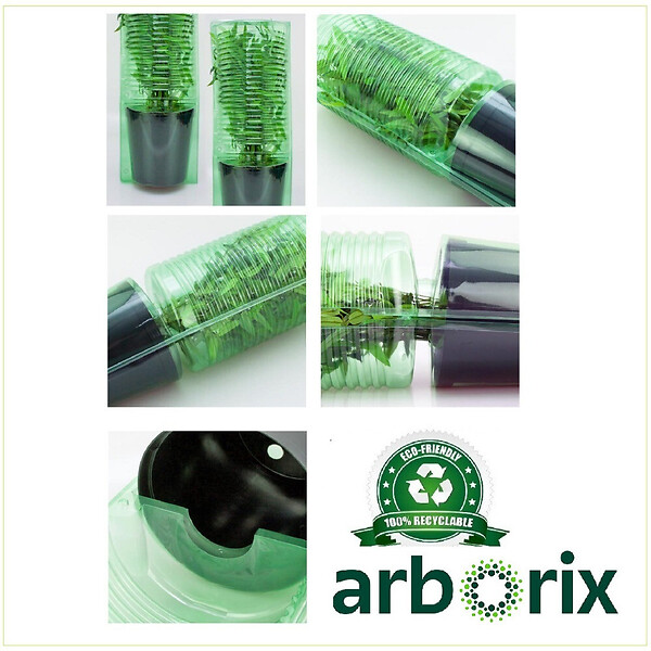 ARBORIX - Rhododendron 'Caroline Allbrook' - Rhododendron 'Caroline Allbrook'  - 25-30 cm pot - large