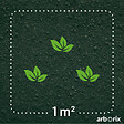 ARBORIX - Rosa 'Pullman Orient Express' - Tige - Rosa 'Pullman Orient Express'® - vignette