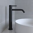 DISTRIBAIN - Robinet mitigeur CAMELIA Black - vignette