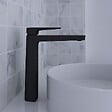 DISTRIBAIN - Robinet mitigeur PETUNIA Black - vignette