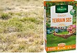 VILMORIN - Gazon rustique terrain sec 250g - vignette