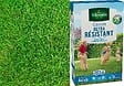 VILMORIN - Gazon ultra résistant boite 250g - vignette