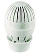 GIACOMINI - Tête thermostatique pour radiateur eau chaude avec bulbe liquide - Diamètre: 48 mm - Bulbe liquide - Chromé - vignette