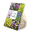 BLOOMIQUE - Mélange de 100 Fleurs - 6 Mois - Mélange de Couleurs - Mélange de 7 Variétés - Bulbes à Fleurs - vignette
