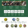 BLOOMIQUE - Mélange de 50 - Fleurs de 6 mois - Respectueux des papillons - Mélange de 8 variétés - vignette