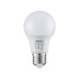 DEBFLEX - AMPOULE A60 SMD VERRE BLANC E27 9W 2700K 810LM - vignette